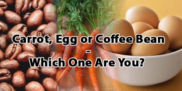Meaning of life - Are you egg or carrot or coffee bean
