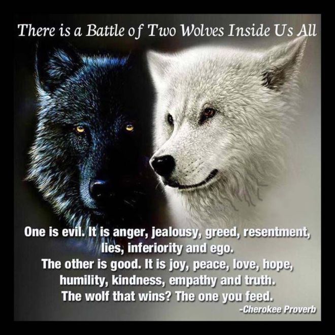 There is a battle of two wolves inside us_ One is evil_ It ___